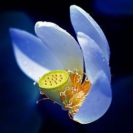 《海绵宝宝：宇宙摇摆》发售预告 Steam“特别好评”